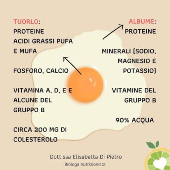 cosa-contiene-un-uovo